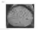Fig. 04 - Lithium secondary battery