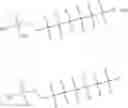 Fig. 09 - Electrolyte and negative electrode structure