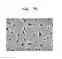 Fig. 16 - OXIDE-COATED METAL CATALYST FOR COMPOSITE ELECTRODE AND METHOD FOR PREPARING COMPOSITE ELECTRODE USING THE SAME