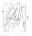 Fig. 11 - Antenna assembly with a multi-band radome and associated methods