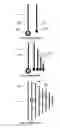 Fig. 02 - Coupled multiband antennas