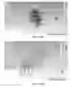 Fig. 16 - RFID system with an eddy current trap