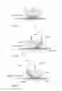 Fig. 06 - Wearable devices for wireless power transfer and communication