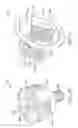 Fig. 15 - Standby switch sense emergency lighting device