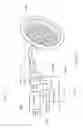 Fig. 50 - Standby switch sense emergency lighting device