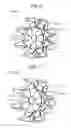 Fig. 05 - Rotary electric machine