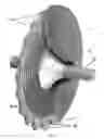 Fig. 12 - Fluid ferfereh