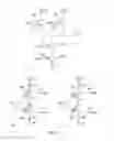 Fig. 07 - Electronic circuits