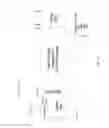 Fig. 06 - Method and apparatus for transporting a client signal over an optical network