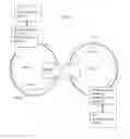 Fig. 10 - WDM single fiber ring protection