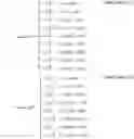 Fig. 07 - Apparatus for transmitting broadcast signals, apparatus for receiving broadcast signals, method for transmitting broadcast signals and method for receiving broadcast signals