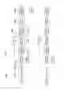 Fig. 27 - Apparatus for transmitting broadcast signals, apparatus for receiving broadcast signals, method for transmitting broadcast signals and method for receiving broadcast signals