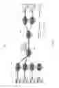 Fig. 08 - Method and apparatus for priority flow and congestion control in ethernet network