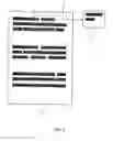 Fig. 06 - Electronic message redacting