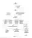 Fig. 14 - Multi-tenancy identity management system