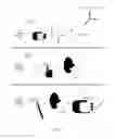 Fig. 02 - Gesture-based signature authentication