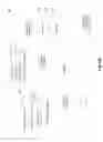 Fig. 08 - Prioritized content transmission