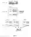 Fig. 04 - Time-based data placement in a distributed storage system