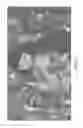 Fig. 31 - Imaging apparatus and imaging method