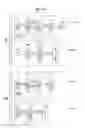 Fig. 11 - Image processing apparatus, image processing method, and program