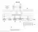 Fig. 29 - Image processing apparatus, image processing method, and program