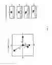 Fig. 05 - Object tracking and data aggregation in panoramic video