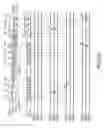 Fig. 21 - Image pickup device and method enabling control of spectral sensitivity and exposure time