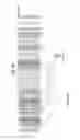 Fig. 76 - APPARATUS FOR TRANSMITTING BROADCAST SIGNALS, APPARATUS FOR RECEIVING BROADCAST SIGNALS, METHOD FOR TRANSMITTING BROADCAST SIGNALS AND METHOD FOR RECEIVING BROADCAST SIGNALS