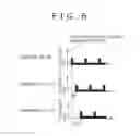 Fig. 07 - Image transmission system and image transmission method