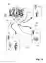 Fig. 11 - Method and device for controlling a conference