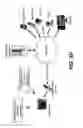 Fig. 05 - Video delivery systems using wireless cameras