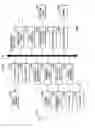 Fig. 30 - METHOD FOR DETERMINING MOTION VECTOR AND APPARATUS THEREFOR