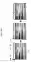 Fig. 23 - Image encoding apparatus and image decoding apparatus and method of operating the same
