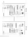 Fig. 03 - Adaptive streaming to multicast and constrained-fidelity constant bit rate encoding