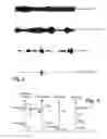 Fig. 03 - Hearing aid having a classifier