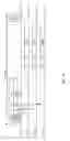 Fig. 05 - MEDIUM ACCESS CONTROL (MAC) HEADER COMPRESSION