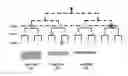 Fig. 01 - Searching for control channels in a wireless network