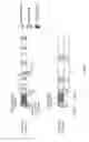 Fig. 11 - RADIO BASE STATION, USER TERMINAL AND DISCONTINUOUS RECEPTION METHOD