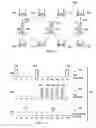Fig. 03 - Method and system for location estimation
