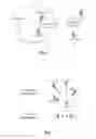 Fig. 02 - Wireless communication method for device to device communication and user equipment