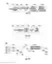 Fig. 11 - METHOD AND APPARATUS FOR SUPPORTING SECTORIZATION COORDINATION