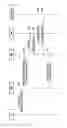 Fig. 13 - METHOD FOR MAINTAINING SERVICE CONTINUITY IN HETEROGENEOUS COMMUNICATIONS SYSTEM