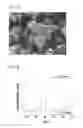 Fig. 05 - Composition and method for forming conductive pattern, and resin structure having conductive pattern thereon