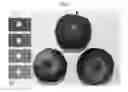 Fig. 02 - Apple tree named 'KIZURI'