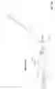 Fig. 03 - Robotic mowing of separated lawn areas