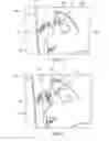 Fig. 12 - ALGAE GROWTH USING PERISTALTIC PUMP