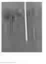 Fig. 02 - ‘FitzRoy’