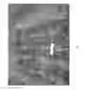 Fig. 03 - ‘FitzRoy’