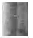 Fig. 04 - ‘FitzRoy’