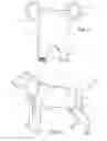 Fig. 02 - Animal Coat
